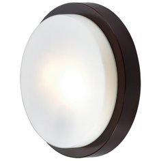 Светильник настенно-потолочный HOLGER 2744/2C Odeon Light