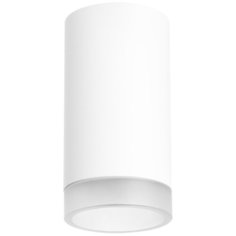 Светильник потолочный Lightstar Rullo, R43630, 50W, GU10