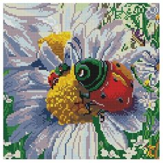 Алмазная мозаика Белоснежка 086-ST-S Летняя жизнь