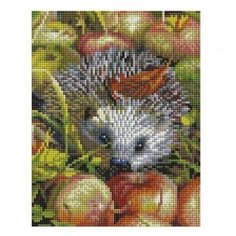 Алмазная мозаика на подрамнике 20*25 см Белоснежка 540-ST-S Яблочный ежик