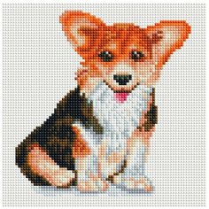 Алмазная мозаика на подрамнике 20х20 см Белоснежка 524-ST-S Корги