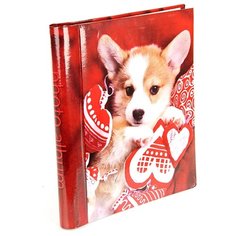 Фотоальбом Veld co 55472 30 "магнитных"листов 23X28см Dog