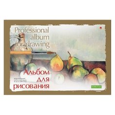 Альбом для рисования А5 40 Л. на склейке СЕРИЯ "ПРОФЕССИОНАЛЬНАЯ" Альт