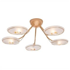 Потолочная люстра Silver Light Notes 137.58.5