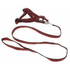 Шлейка с поводком Пижон рельефная черный/красный