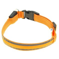 Ошейник Пижон с подсветкой и 2 светоотражающими полосами (1039614/1039613/1039616) 50-58 см оранжевый