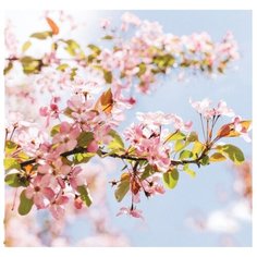 Фотообои бумажные Арт Узор Цветение яблони 2х2.1м розовый/зеленый