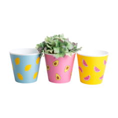 Кашпо Дарите счастье набор 3 в 1 Фрукты 0.8 л голубой/желтый/розовый