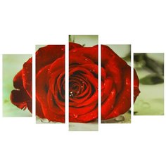 Картина модульная на подрамнике "Бутон розы" 2-25х52, 2-25х66,5, 1-25х80 см, 80*140 см 1224164 Сюжет