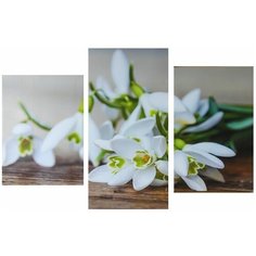 Картина модульная на подрамнике "Подснежники" 99*65 см 1801792 Topposters