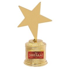 Фигура звезда литая "Ты звезда!" в коробке,16,5 х 6,3 см 2563903 Сима ленд