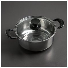 Кастрюля со стеклянной крышкой Promo 20х8 см 4554289 Сима ленд