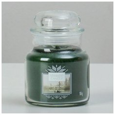 Свеча ароматическая в банке Вечнозеленая хвоя Evergreen Mist, 104 гр, 25-45 ч 6074692 Yankee Candle