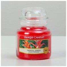 Свеча ароматическая в банке Тропические джунгли Tropical Jungle, 104 гр, 25-45 ч 6074700 Yankee Candle