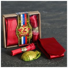 Подарочный набор (галстук, платок-сигара, фигурное мыло) "С 23 февраля!" 4627643 Сима ленд