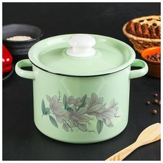 Кастрюля цилиндрическая 3.5 л декор салатовая с пластм. кнопкой 3948213 Сибирские товары