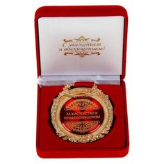 Медаль в барх коробке "За мастерство и профессионализм", 6,3 х 7,2 см 869575 Сима ленд