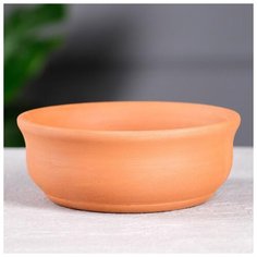 Кашпо для кактусов и суккулентов «Бонсайница», Ø 15 см 5404677 Красная глина