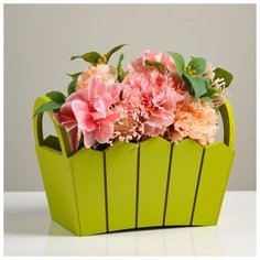 Кашпо деревянное 27×18×19 см "Мария", ручки боковые, МДФ, фисташка 5309149 Сима ленд