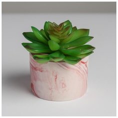 Керамическое кашпо с тиснением «Мордочка», 8 х 5,5 см 5114078 Дарите счастье