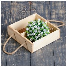 Кашпо деревянное 20×20×6 см "Элион" с двумя отделениями, ручка верёвка, натуральный 3638405 Сима ленд