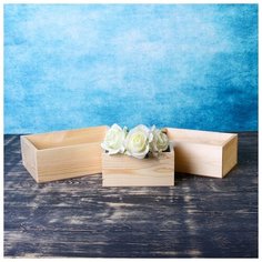 Набор кашпо деревянных подарочных Элегант "Классик", 3 в 1, МАССИВ СОСНЫ, натуральный 4408467 Сима ленд