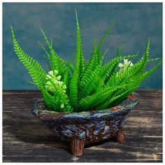 Кашпо-бонсайница овальное 4,5*12*6см 5081689 Take It Easy