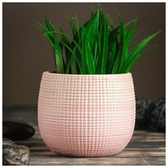 Кашпо керамическое розовое 10*10*10 см 3932035 Take It Easy