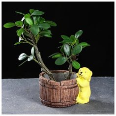 Кашпо керамическое "Щенок у бочонка" 12*10*9см 5274556 Take It Easy