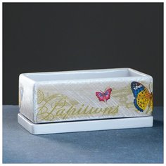 Горшок цветочный "Кактусник" бабочки, 24*12/h9см 4093031 Сима ленд