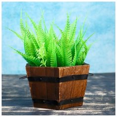 Кашпо деревянное "Кадка шестиугольная" 12*12*8см 1199465 Take It Easy