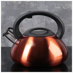 Чайник 3 л со свистком "Таун", медный 4077390 Сима ленд