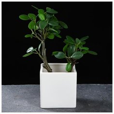 Кашпо керамическое "Куб под наклоном" 9*9*11см 5274553 Take It Easy