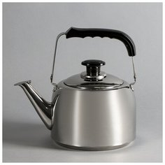 Чайник 3 л индукционное дно 4921665 Astell