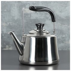 Чайник 3 л "Чайковский" 3795285 Сима ленд