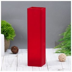 Ваза "Пять вечеров" алая матовая, прямая 21х5,5х5,5 см, 0.33л 1169866 Evis