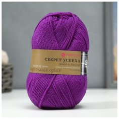 Пряжа "Секрет успеха" 100% шерсть 250м/100гр (78-Фиолетовый) 2515814 Пехорка