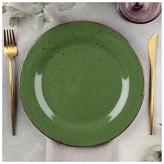 Тарелка 25,5 см, h 2 см "Punto verde" 4839187 Хорекс