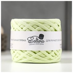 Пряжа трикотажная широкая "Saltera" 100м/300гр, ширина 7-9 мм (77 мохито) 5377181
