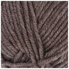 Пряжа "Lanagold plus" 49% шерсть, 51% акрил 140м/100гр (240 коричневый) 3801582 Alize