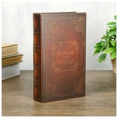 Сейф-шкатулка дерево "История моего успеха" 21x14.5x5 472316 Сима ленд