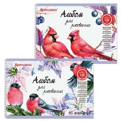 Альбом для рисования, А4, 40 л., гребень, выборочный лак, подложка, внутренний блок 120 г/м2, BRAUBERG, 205х290 мм, "Птицы" (2 вида), 105103