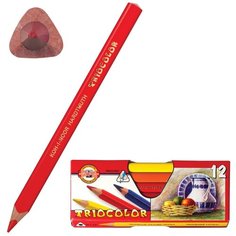Карандаши цветные KOH-I-NOOR утолщенные "Triocolor", 12 цветов, трехгранные, 5,6 мм, заточенные (3152012001KS)