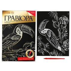 Гравюра "Тукан" с металлическим эффектом золота А4 Школа талантов
