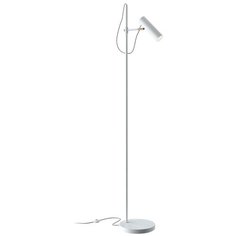 Торшер Maytoni Technical Bansky MOD129FL-01W