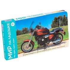 Набор карточек Умница Мир на ладошке. Мы едем, едем, едем 18x10 см 24 шт.