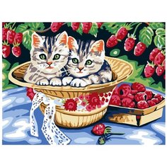 Белоснежка Картина по номерам "Котята в саду" 30х40 см (013-CE)