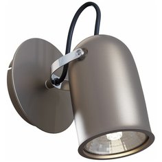 Спот MAYTONI Alcor SP311-CW-01-N