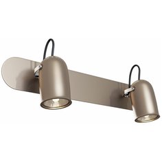 Спот MAYTONI Alcor SP311-CW-02-N