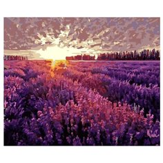 Белоснежка Картина по номерам "Вечер в Провансе" 40х50 см (547-CG)